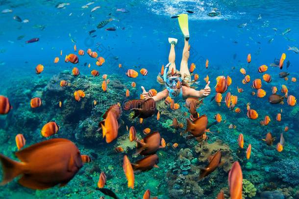 女孩采用snorkel采用g面具潜水在水中的和珊瑚礁鱼