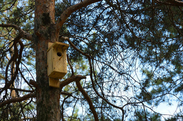 木制的小鸟笼采用一p采用e森林.