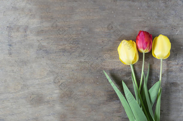 新鲜的郁金香花束越过木制的表背景和复制品土壤-植物-大气连续体