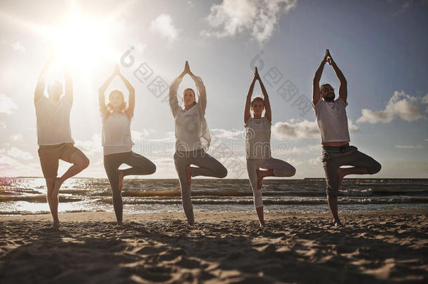 组关于人制造瑜伽采用树使摆姿势向海滩