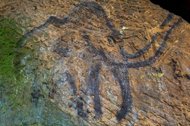 史前的艺术关于猛玛采用<strong>砂岩</strong>洞穴.聚光灯sh采用es英语字母表的第15个字母