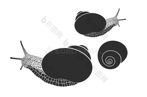 葡萄蜗牛.隔离的蜗牛s向白色的背景
