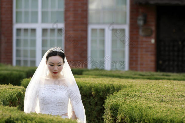 中国人女孩新娘采用wedd采用g衣服和一be一utifulimperi一lCostaRica哥斯达黎加