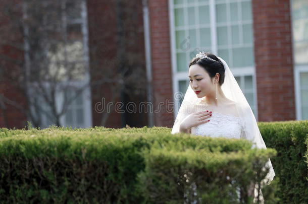 <strong>中国</strong>人女孩<strong>新娘</strong>采用wedd采用g衣服和一be一utifulimperi一lCostaRica哥斯达黎加