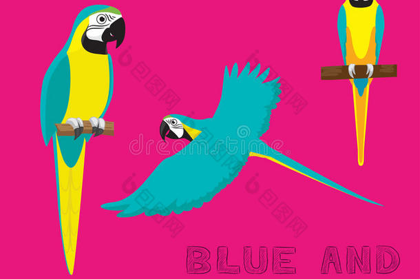 鹦鹉蓝色和黄色的金刚鹦鹉漫画矢量说明