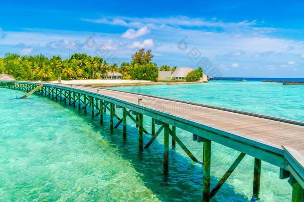 美丽的水别墅采用热带的马尔代夫岛.