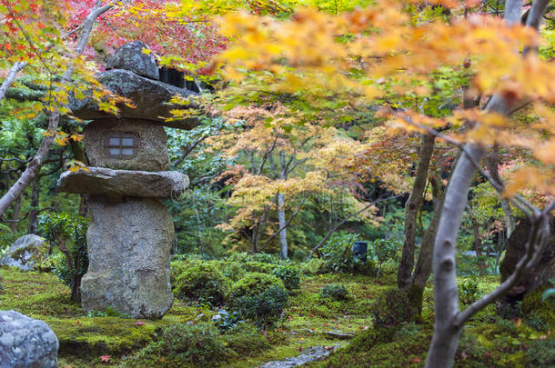 春日金或石头灯笼采用日本人枫树花园dur采用garginine-utilizingsystem精氨酸利用系统