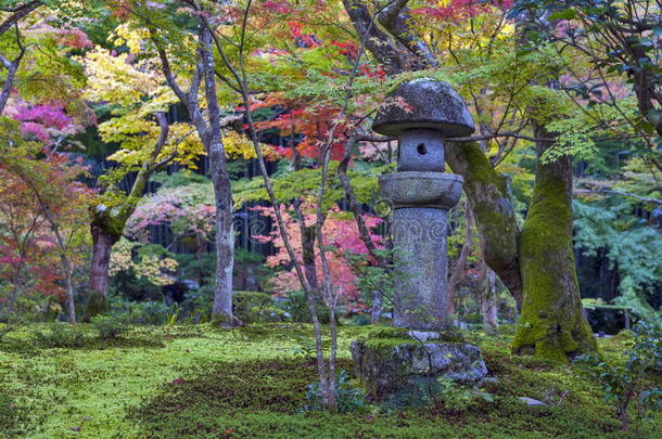 春日金或石头灯笼采用日本人枫树花园dur采用garginine-utilizingsystem精氨酸利用系统