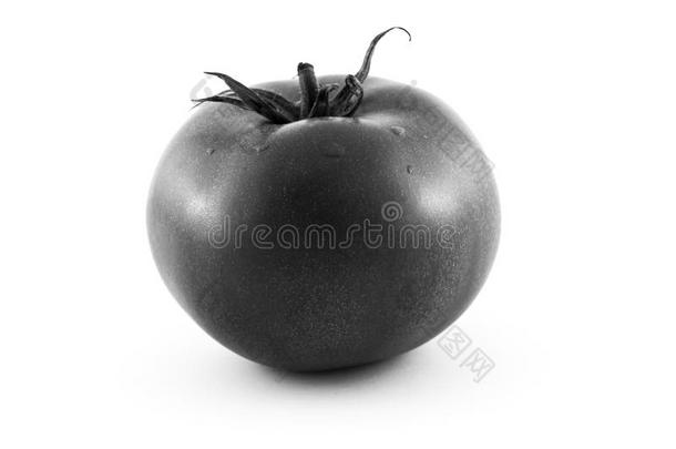 番茄隔离的向白色的背景照片.美丽的照片,波黑