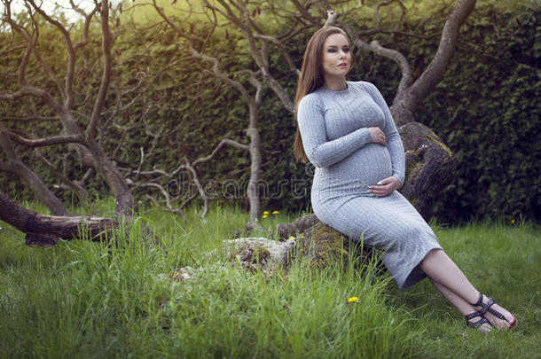美丽的怀孕的女人采用一p一rk.