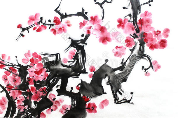 中国人墨水绘画关于花,李子花,向白色的后台