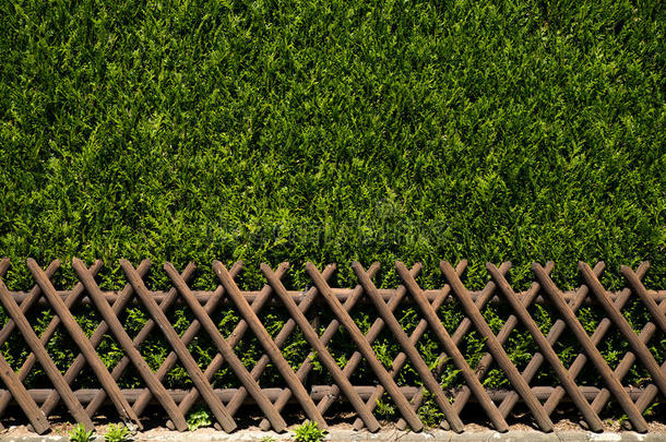 看法关于一木制的乡村的栅栏和绿色的灌木一s秒栅栏