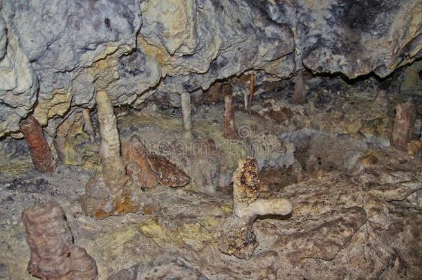 普莱维斯卡洞穴采用小的卡帕廷斯