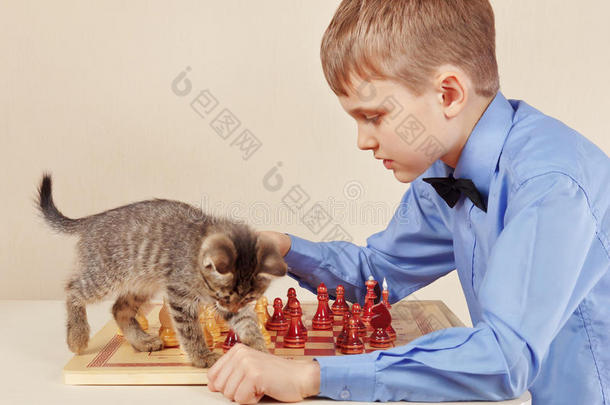 年幼的棋手和漂亮的小猫演奏棋.