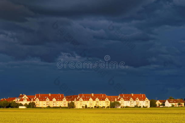 黑暗的-<strong>蓝色</strong>天和金色的谷物田在郊外在旁边暴风雨浏览