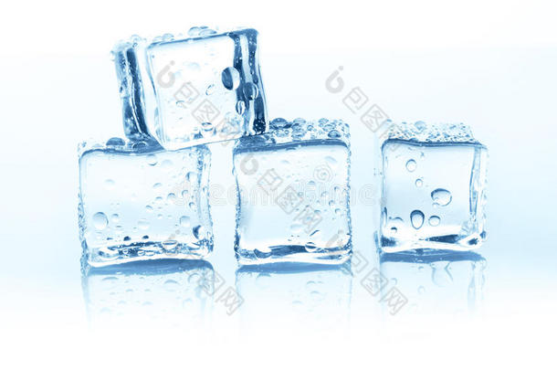 透明的冰立方形的东西组向白色的背景和水落下