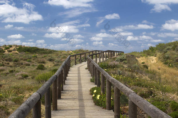 木制的<strong>走道</strong>重要的向博尔代拉海滩,阿尔加维征服),葡萄牙