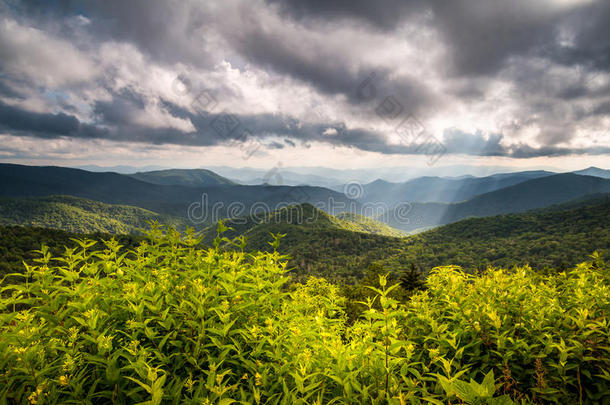 北方卡罗莱纳州蓝色背脊大路风景优美的自然阿巴拉契亚造山运动人名