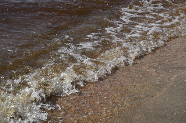 临海的海波.海水和海weed.临海的水藻.海比衣