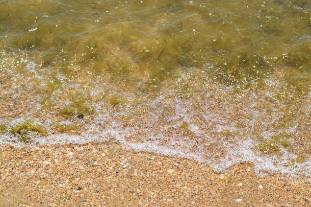 临海的海波.海水和海weed.临海的水藻.海比衣