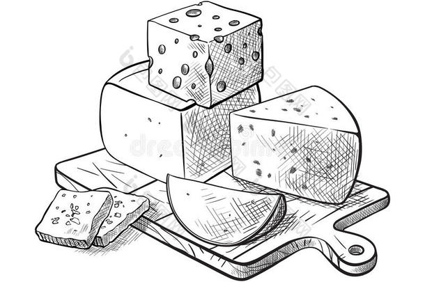 奶酪制造各种各样的类型关于奶酪放置关于矢量草图