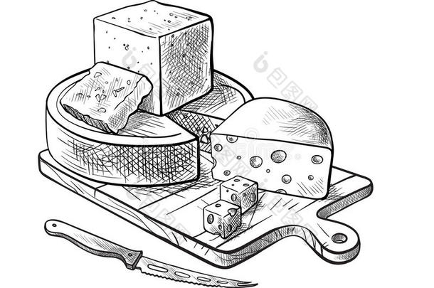 奶酪制造各种各样的类型关于奶酪放置关于矢量草图