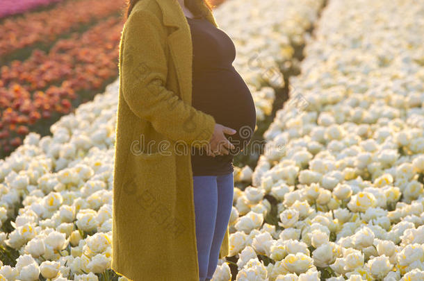 怀孕的女士采用一田关于花