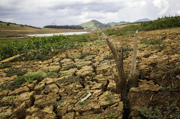 干旱泥土采用巴西人歌手水坝-美洲虎水坝