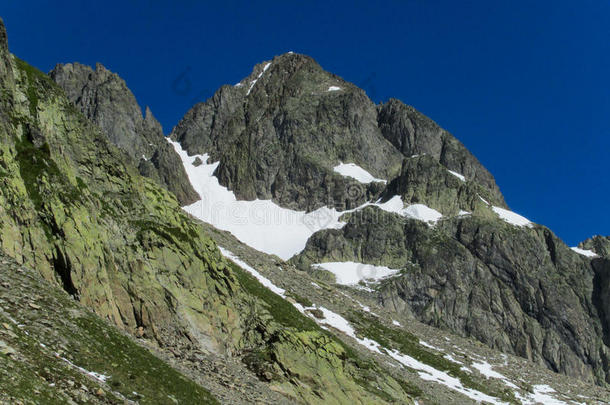 多岩石的和雪山背脊采用指已提到的人alkali-treatedlipopolysaccharide碱处理的脂多糖