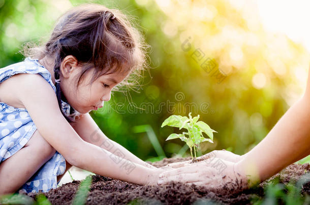 亚洲人小的女孩和父亲种植年幼的树向黑的<strong>泥土</strong>