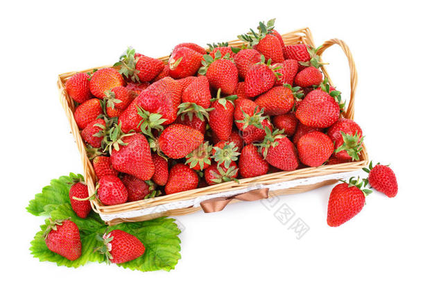成熟的多汁的草莓向一白色的b一ckground.