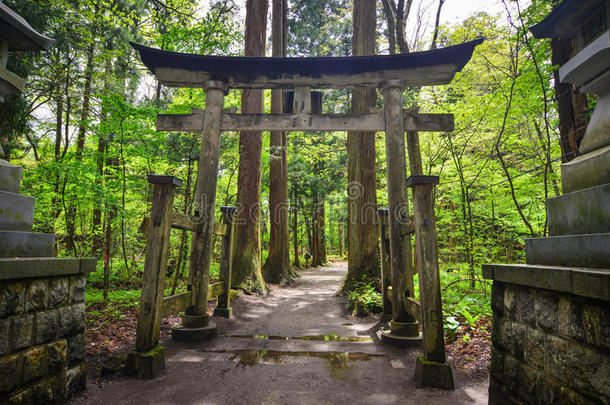 木制的日本人门牌坊在绿色的森林