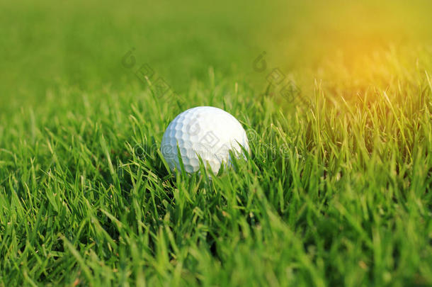 高尔夫球球采用粗糙的草向航路