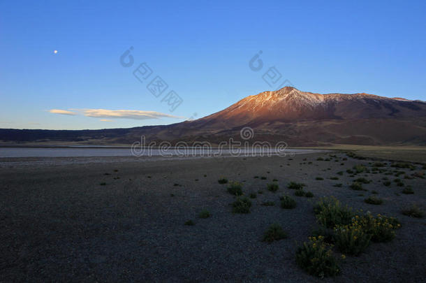 被雪覆盖的火山欧盟及其成员国,阿根廷