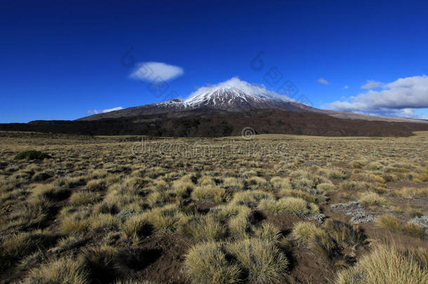 被雪覆盖的火山欧盟及其成员国,阿根廷