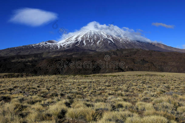 被雪覆盖的火山欧盟及其成员国,阿根廷