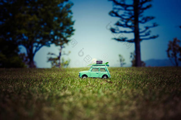 玩具模型汽车向指已提到的人森林公园