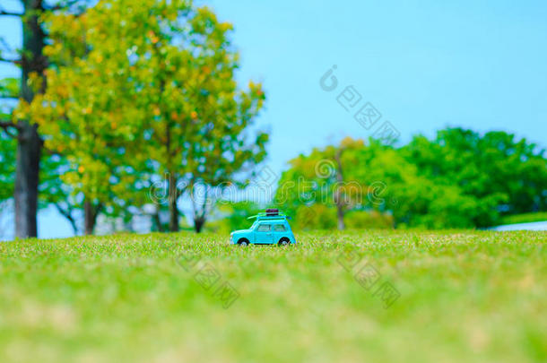 玩具模型汽车向指已提到的人森林公园