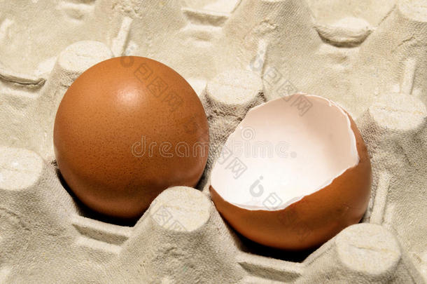 新鲜的鸡蛋和鸡蛋壳采用一鸡蛋盒
