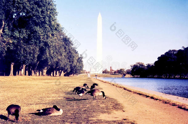华盛顿池塘和华盛顿纪念碑2000