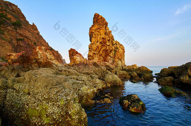 指已提到的人海滩岩石日落风景优美的