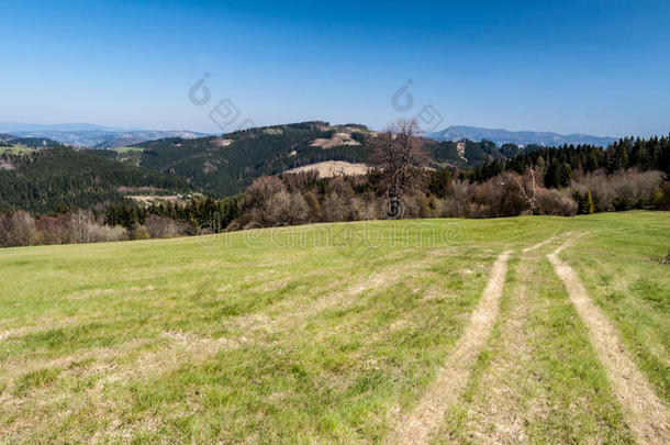 山草地和小山向指已提到的人背景和清楚的天采用是