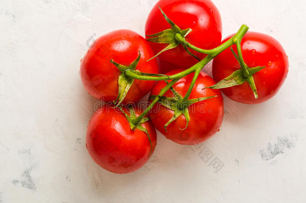 树枝和num.五成熟的红色的番茄.落下关于水向成熟的成果