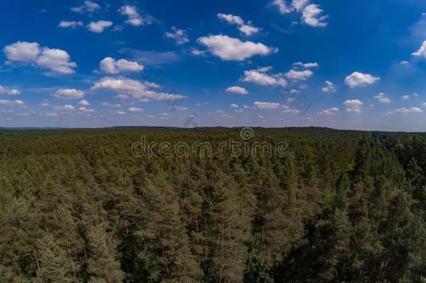 空气的照片关于森林风景叫坦尼洛赫福斯特在近处英语字母表的第20个字母