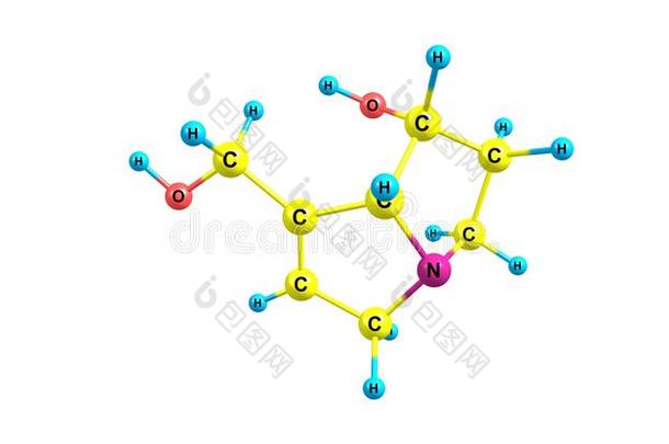 逆转录酶分子的结构隔离的向白色的