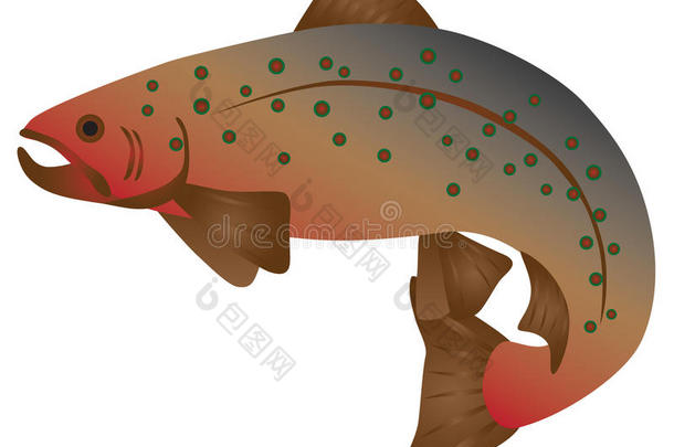 容忍鲑鳟鱼颜色矢量说明