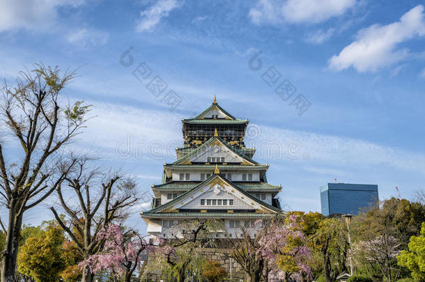 大阪城堡采用黑色亮漆和樱<strong>桃花树</strong>采用前面