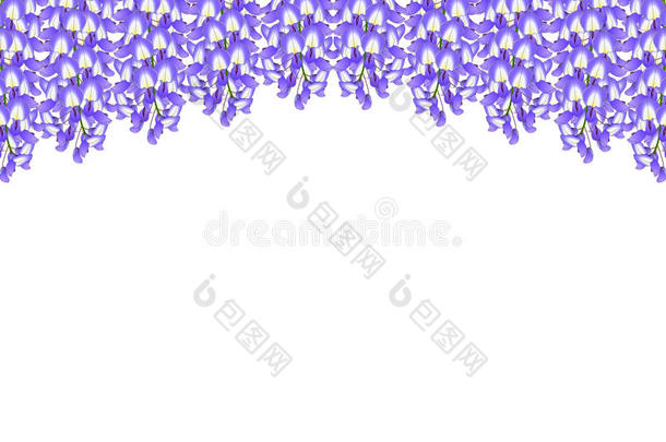 紫罗兰蓝色柴藤隔离的向白色的背景和复制品土壤-植物-大气连续体