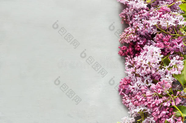 一花束关于花关于丁香花属向一gr一yc向creteb一ckground.