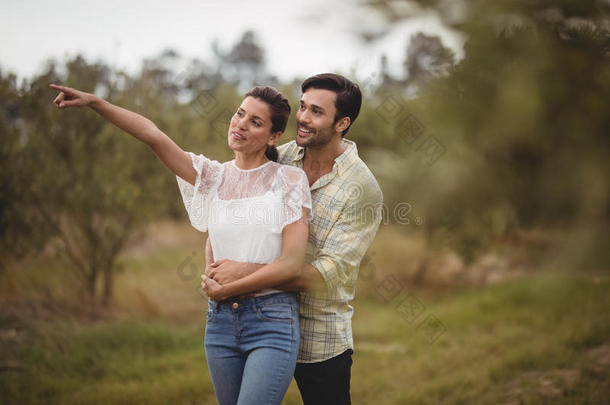 女朋友展映某物向男朋友在橄榄农场